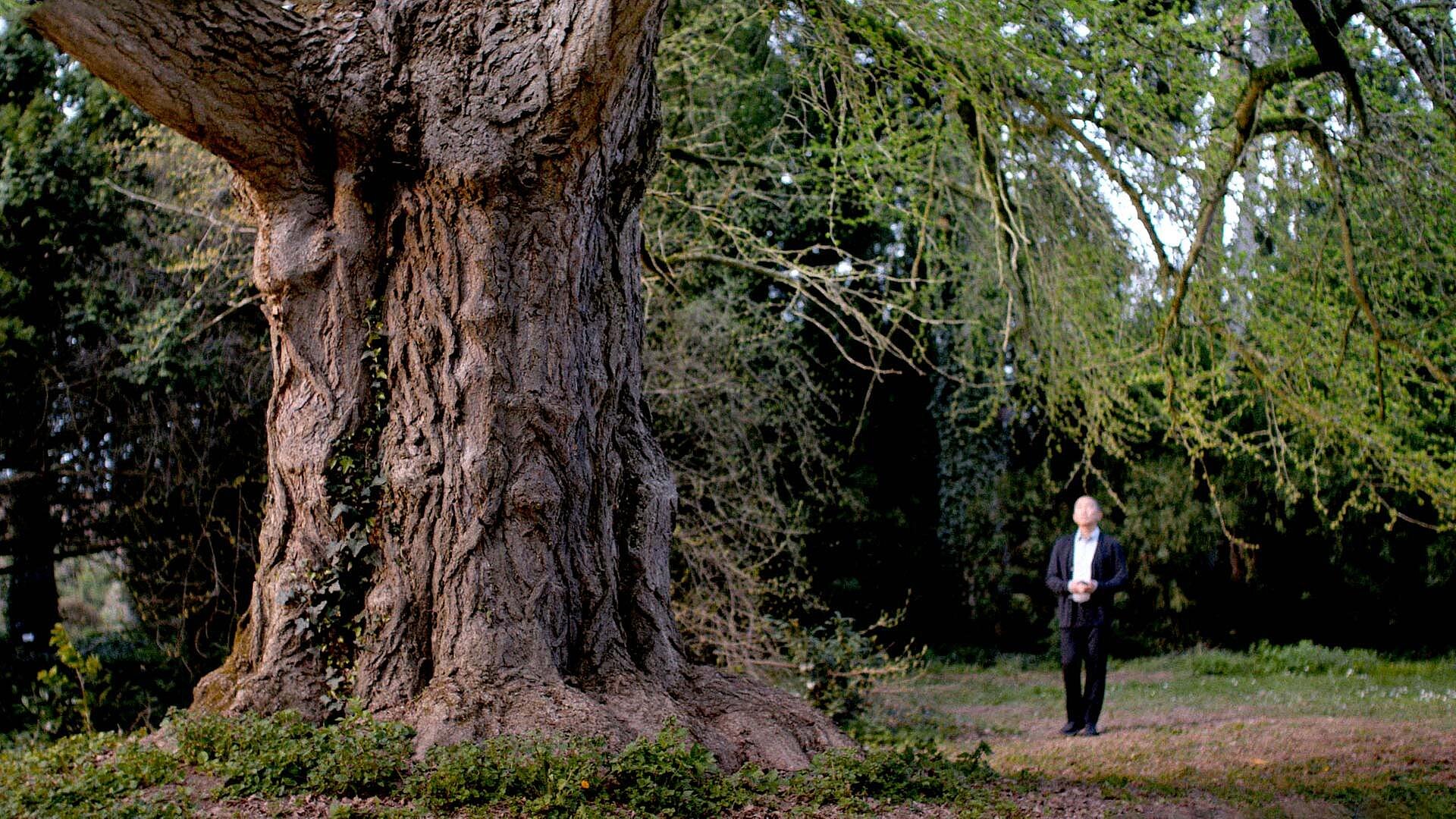 Silent Friend Silent Friend