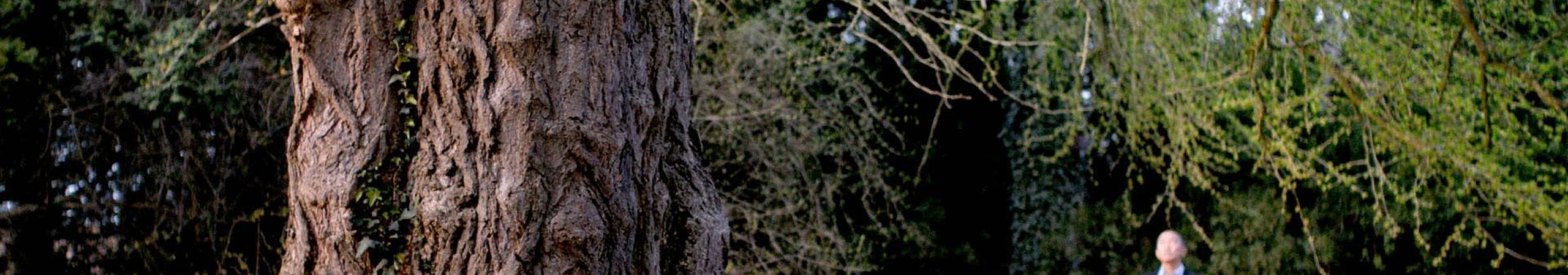 Silent Friend Silent Friend