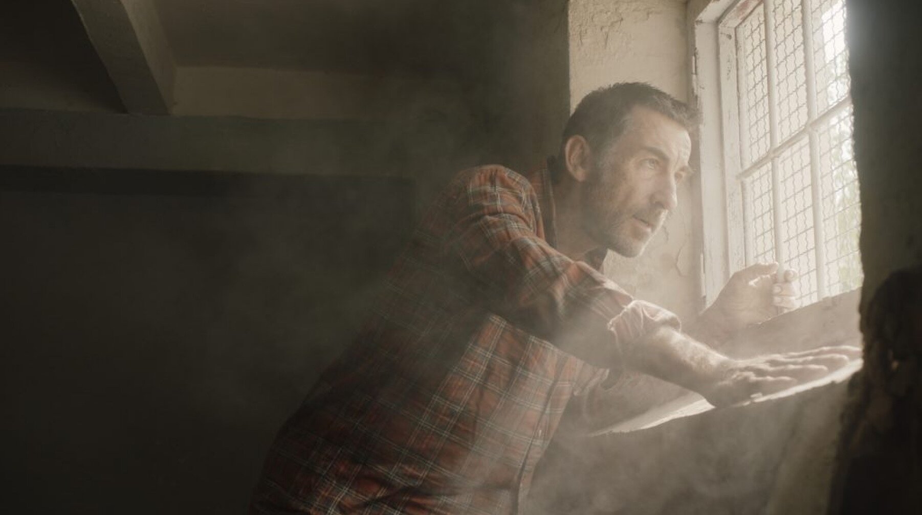 COMPAÑEROS – LA NOCHE DE 12 AÑOS COMPAÑEROS – LA NOCHE DE 12 AÑOS