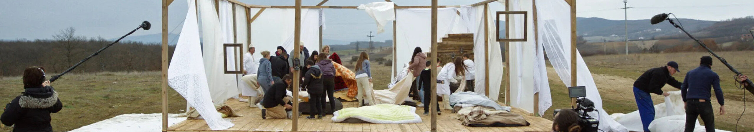 La Beauté de l'âne