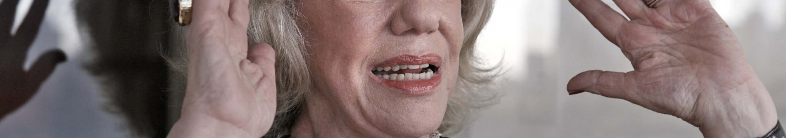 ERICA JONG. BREAKING THE WALL ERICA JONG. BREAKING THE WALL